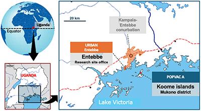 Pre-vaccination Schistosoma mansoni and hookworm infections are associated with altered vaccine immune responses: a longitudinal analysis among adolescents living in helminth-endemic islands of Lake Victoria, Uganda